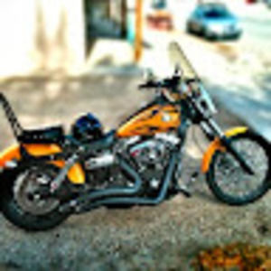 Meet your Posher, Dennis